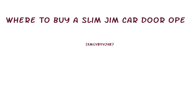 Where To Buy A Slim Jim Car Door Opener