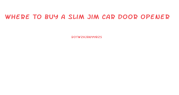 Where To Buy A Slim Jim Car Door Opener