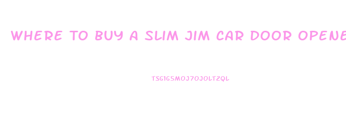 Where To Buy A Slim Jim Car Door Opener