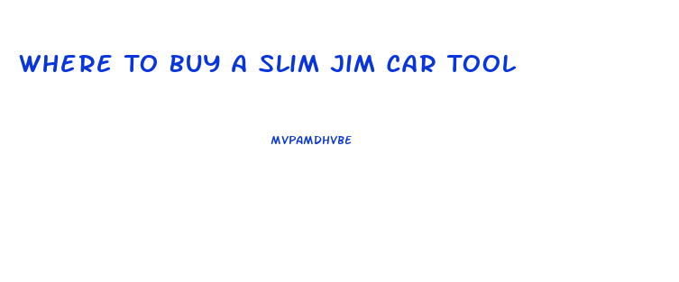 Where To Buy A Slim Jim Car Tool