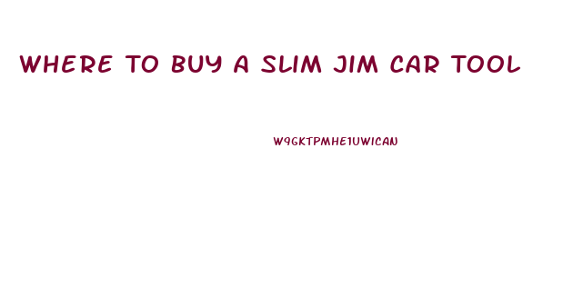 Where To Buy A Slim Jim Car Tool