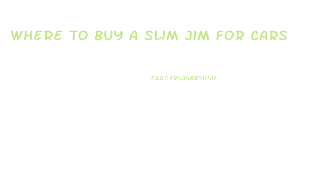 Where To Buy A Slim Jim For Cars