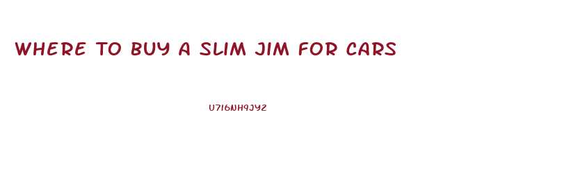 Where To Buy A Slim Jim For Cars