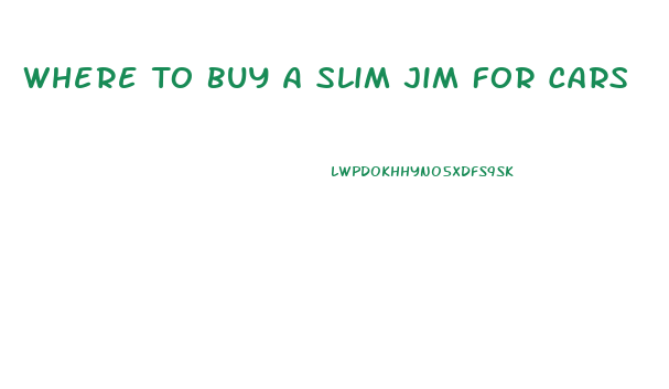 Where To Buy A Slim Jim For Cars