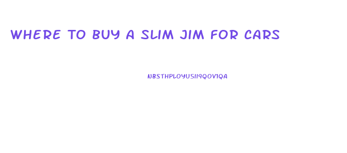 Where To Buy A Slim Jim For Cars