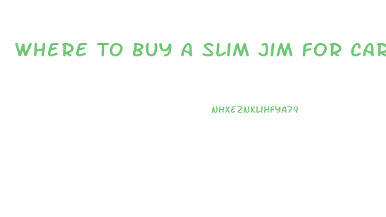 Where To Buy A Slim Jim For Cars