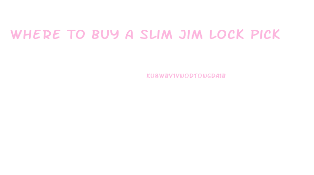 Where To Buy A Slim Jim Lock Pick
