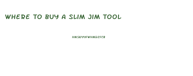 Where To Buy A Slim Jim Tool