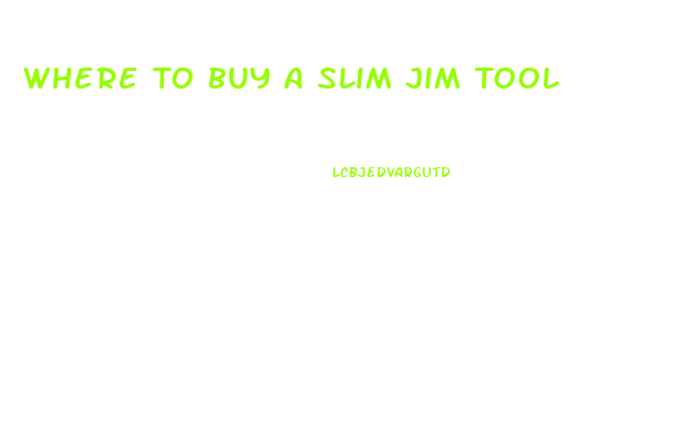 Where To Buy A Slim Jim Tool