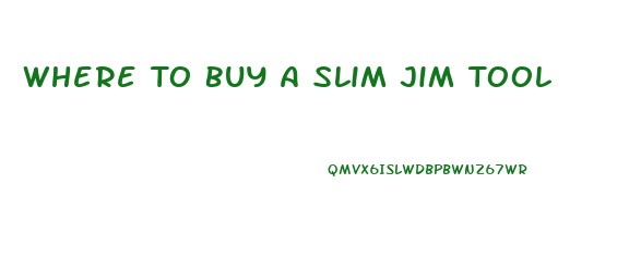 Where To Buy A Slim Jim Tool