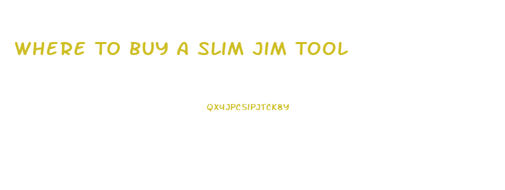 Where To Buy A Slim Jim Tool