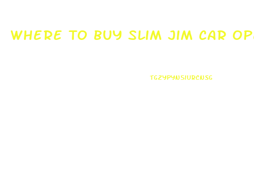 Where To Buy Slim Jim Car Opener