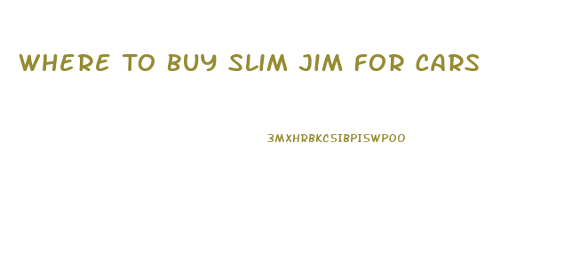 Where To Buy Slim Jim For Cars