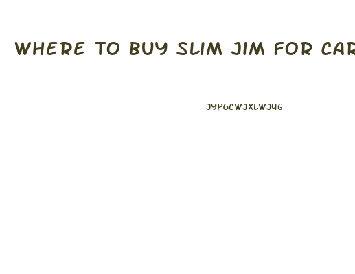 Where To Buy Slim Jim For Cars