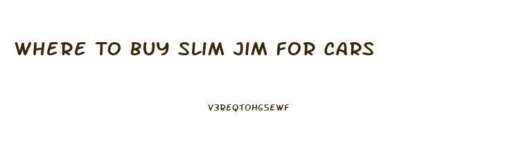 Where To Buy Slim Jim For Cars