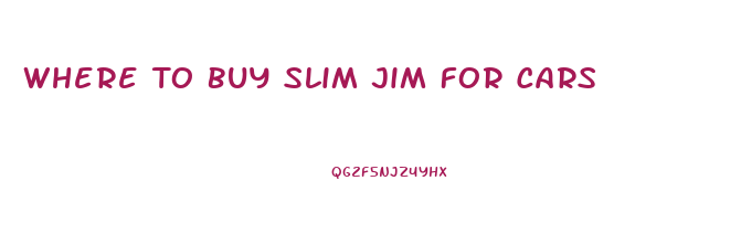 Where To Buy Slim Jim For Cars