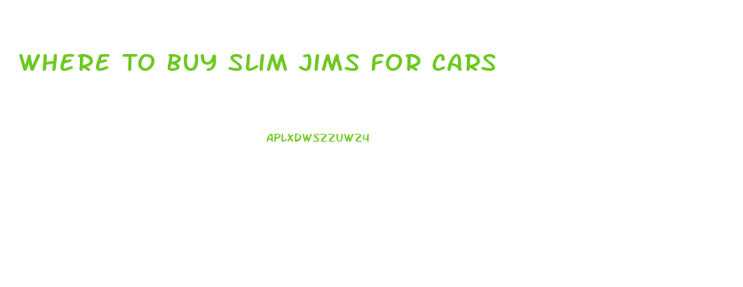 Where To Buy Slim Jims For Cars