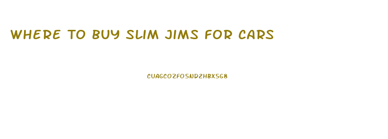 Where To Buy Slim Jims For Cars