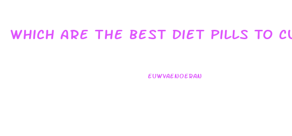 Which Are The Best Diet Pills To Curb Appetite And Lose Weight Have More Energy