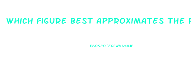 Which Figure Best Approximates The Percentage Of Americans Who Say They Want To Lose Weight