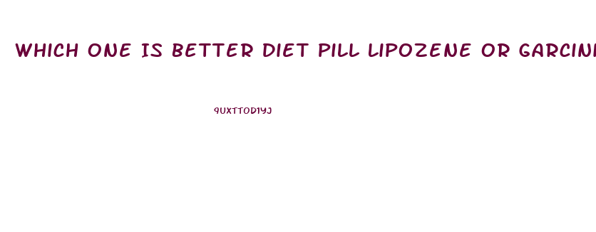 Which One Is Better Diet Pill Lipozene Or Garcinia Cambogia