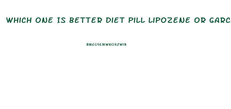 Which One Is Better Diet Pill Lipozene Or Garcinia Cambogia