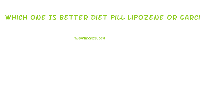 Which One Is Better Diet Pill Lipozene Or Garcinia Cambogia