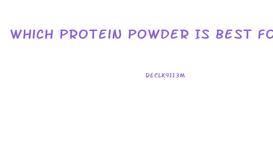 Which Protein Powder Is Best For Me To Lose Weight