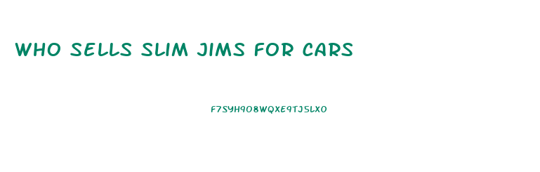 Who Sells Slim Jims For Cars