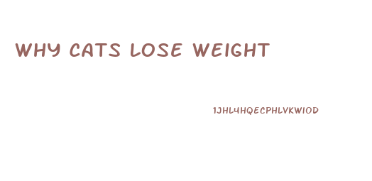 Why Cats Lose Weight