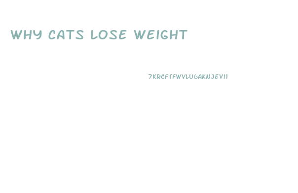 Why Cats Lose Weight