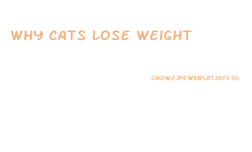 Why Cats Lose Weight