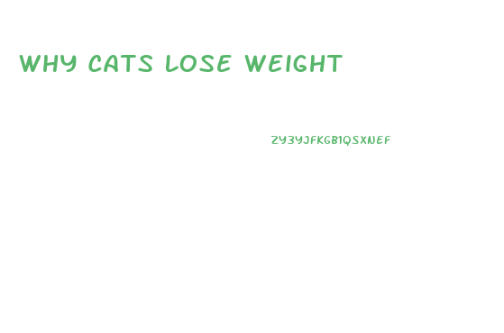Why Cats Lose Weight