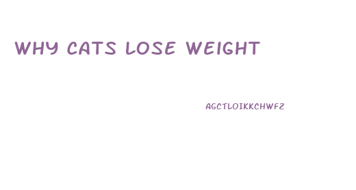 Why Cats Lose Weight