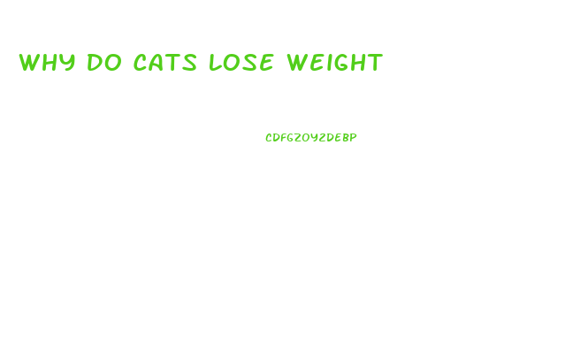 Why Do Cats Lose Weight