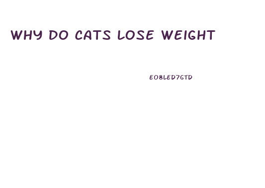 Why Do Cats Lose Weight