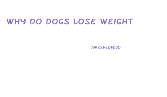 Why Do Dogs Lose Weight