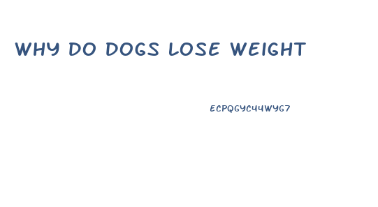 Why Do Dogs Lose Weight