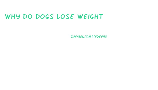 Why Do Dogs Lose Weight