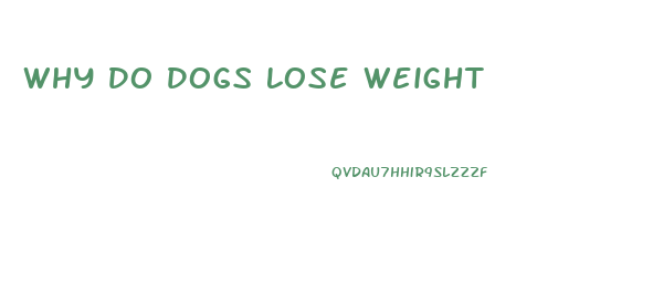 Why Do Dogs Lose Weight