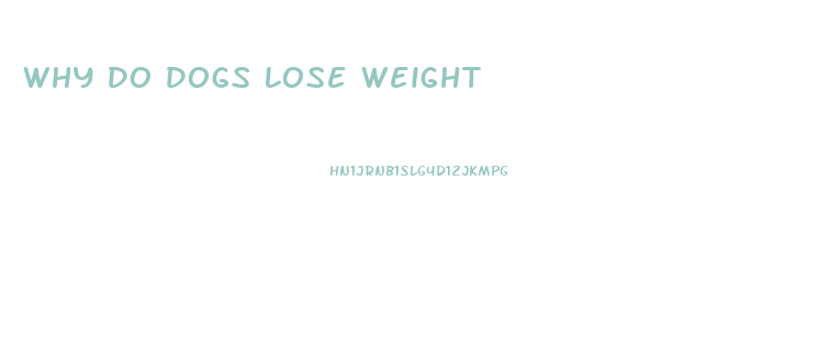 Why Do Dogs Lose Weight