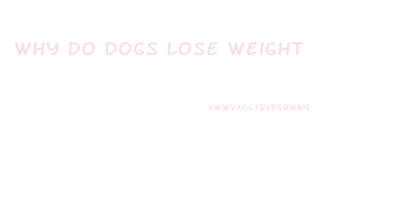 Why Do Dogs Lose Weight