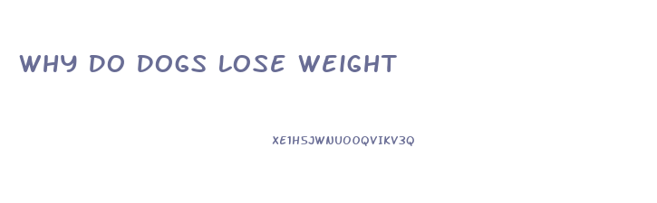 Why Do Dogs Lose Weight