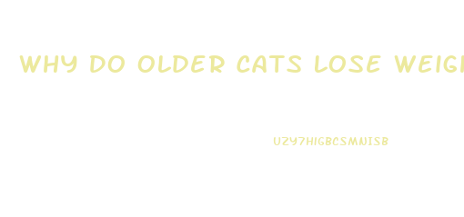 Why Do Older Cats Lose Weight