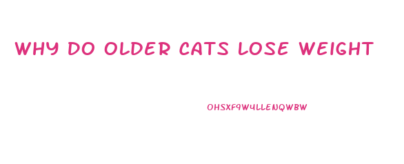 Why Do Older Cats Lose Weight