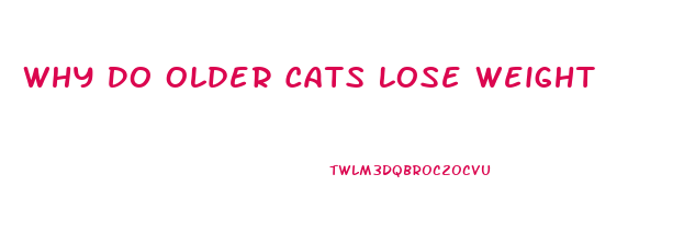 Why Do Older Cats Lose Weight