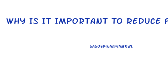 Why Is It Important To Reduce Fat Intake