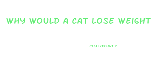 Why Would A Cat Lose Weight