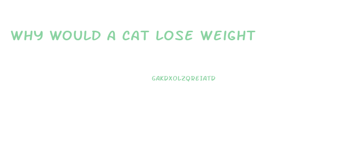 Why Would A Cat Lose Weight