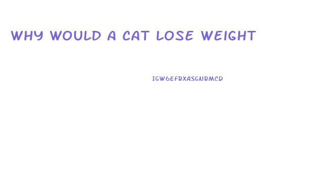 Why Would A Cat Lose Weight